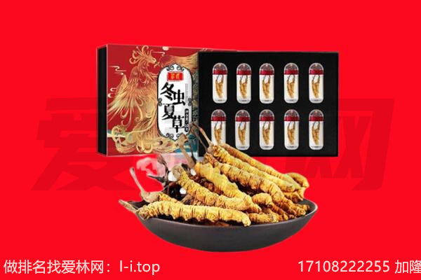 都兰冬虫夏草回收